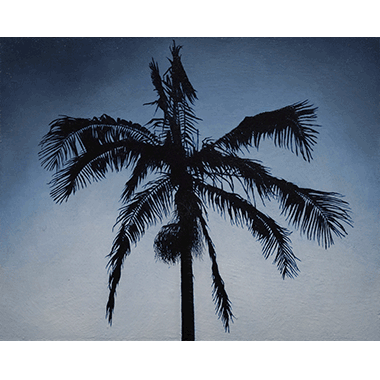 Andrew Shears, Palm Dream