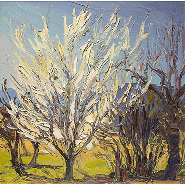 Louisa McElwain, Plum Tree with Flowers