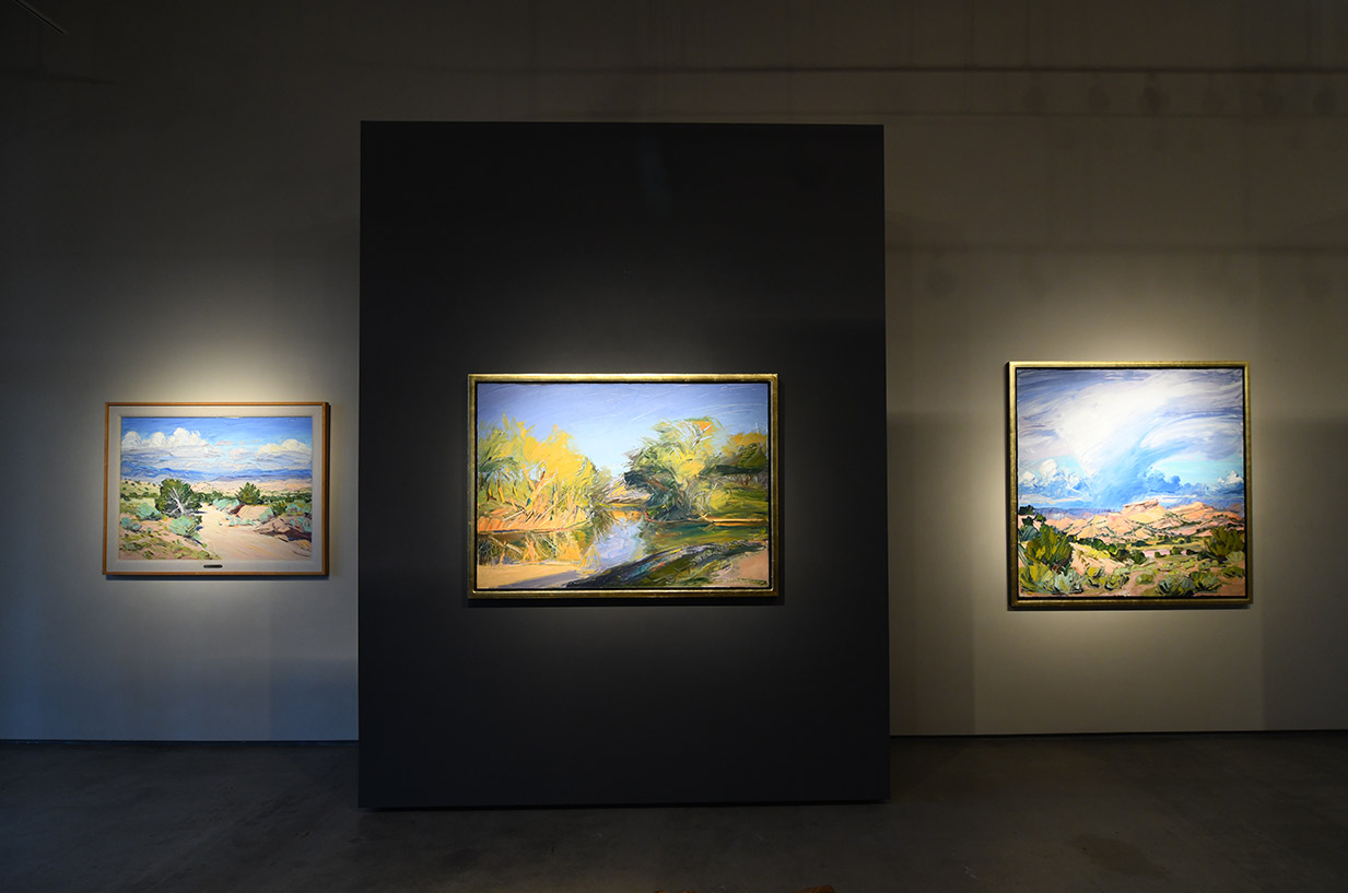 Installation view of louisa McElwain work
