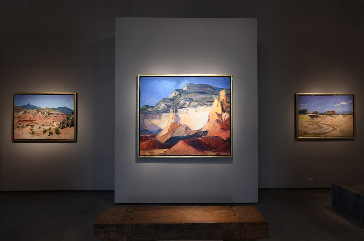 Installation view of louisa McElwain work