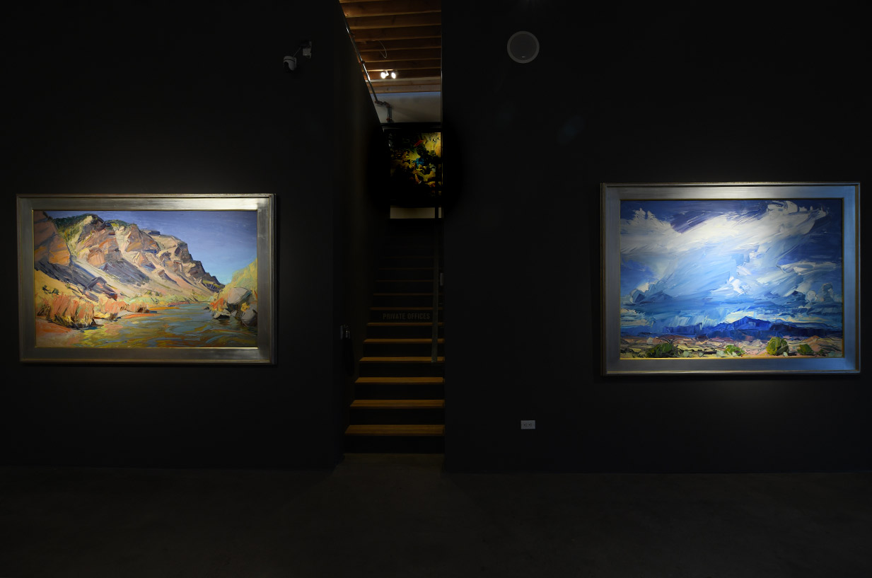 Installation view of louisa McElwain work