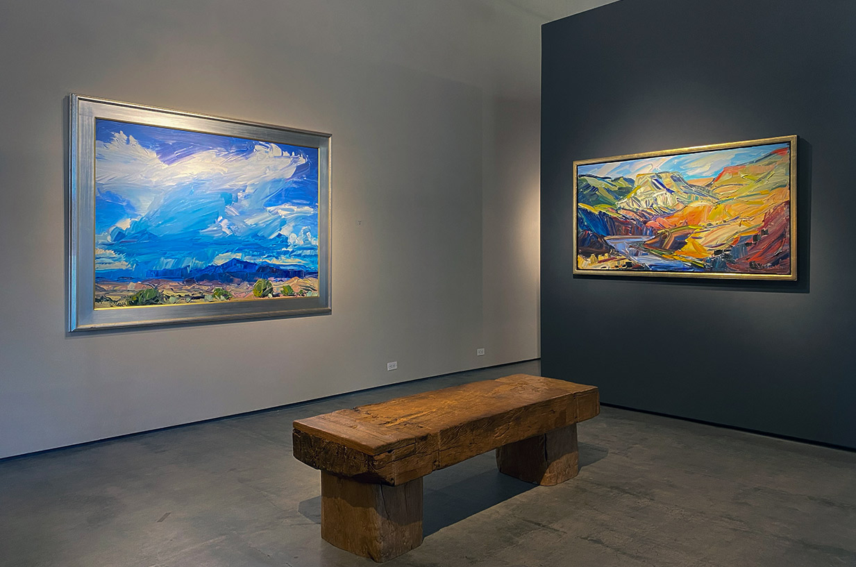 Installation view of louisa McElwain work